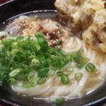 ふたみうどん研究所 - 尾っぽ塩うどん　舞茸天トッピング