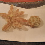 柾 - 合体するとふきのとう