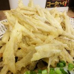 うどん秋月 - ごぼう天（ハーフ）８０円をプラスしましたが1人前しっかりあります