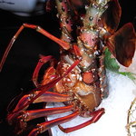 花長 - 偶に　うごく..