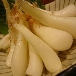 あかがーら - 島らっきょう