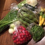 Megane Shokudou - 契約農家直送の産直野菜