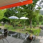 モモカフェ - 新緑が美しいお庭です♪