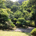 Pizzeria IL Brolo - 庭園