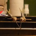 割烹・蕎麦 波と風 - 