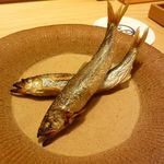 割烹・蕎麦 波と風 - 