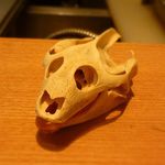 割烹・蕎麦 波と風 - 