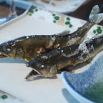 柳家 - 和良川鮎塩焼き
