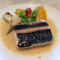 ベラ・ルーサ - 