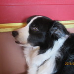 Mar - 悩み、聞いてくれる？