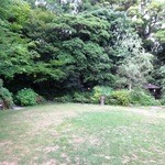 ピパ・ブルー - 