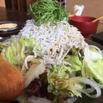 そば草香 - お昼の炭焼きコース　3,500円　シラスのサラダ