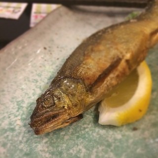 和風居酒屋 遊人_0