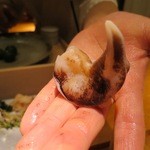 鮨龍尚 - とりがい