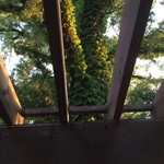 ビアパブ　ベアレン - 天井は木の格子です。