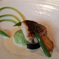 CORK - スズキのソテー生姜ソース、奥の野菜はアスパラソバージュ（野生のアスパラだとか）