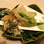 くろぎ - 天然山菜揚げ