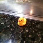 シャカ　ジェーワイ - 2015