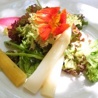表参道バンブー - プランツォ 3456円 の産直野菜のサラダ
