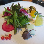 ラ・ボンヌターブル - 各地農園から届いた畠のサラダ1