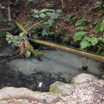 がんこ屋 - 熊野の清水