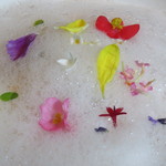 ラ・ボンヌターブル - ビワ、その種で香り付けしたブランマンジェ パイナップルとパパイアのクリーミーなシャーベット、泡立てた甘酒に美味しい花畑を浮かべて1