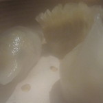 中国料理 カリュウ(ヨコハマ グランド インターコンチネンタル ホテル) - 湯気で～