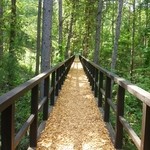 六花山荘 - このアプローチに期待度大！！