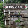 磯野ブルーベリー園