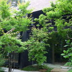 紬山荘 - 新緑に囲まれた玄関