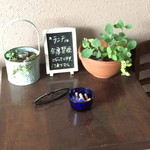 koji - 喫煙場所　サングラスの忘れ物？