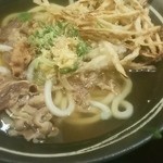 udonnoshikoku - ゴボウ天、肉うどん