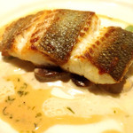 ワインサロン エルミタージュ - 白身魚のポワレ ふわっふわの身はほんと感動ものです