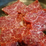 くわはた - やっぱりサガリ！