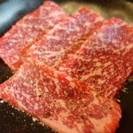 くわはた - ソトヒラに近いウチヒラ　塩