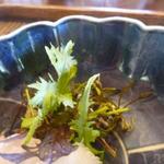 魚菜料理 縄屋 - 妻も本山葵、芽紫蘇、わさび菜、辛子水菜、色々楽しめて
