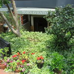 TORNAVENTO - 西麻布の住宅街を潤す緑の外観