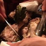 タンタ ローバ - 