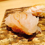 三谷 - 白えび 鰈