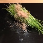 鮨 田なべ - 芽ネギ