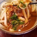 Rakugamaseimenjo - カレーうどん450円