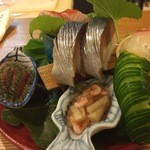 お造り五種　鯖寿司　珍味