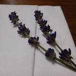セララバアド - 2016年6月春のメニューに付いていた、ラベンダー♪
