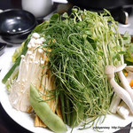 かがやき - お野菜 2015.06 