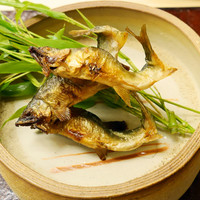 銀座 小十 - 若鮎の塩焼き