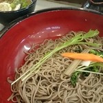 つけ鴨うどん 鴨錦 恵美須店 - 並みそば440gなり