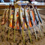 柳家 - 和良川 天然鮎丸干し調理中