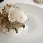 エスキス - サザエ肝ソテー/空豆/トマト〜レモン泡とハーブソース〜