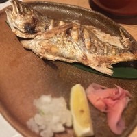 魚や市 はなれ - ＊標準和名は『シログチ』です。
                  関東では『イシモチ』、関西では『グチ』