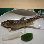 解禁になった飛騨川の鮎